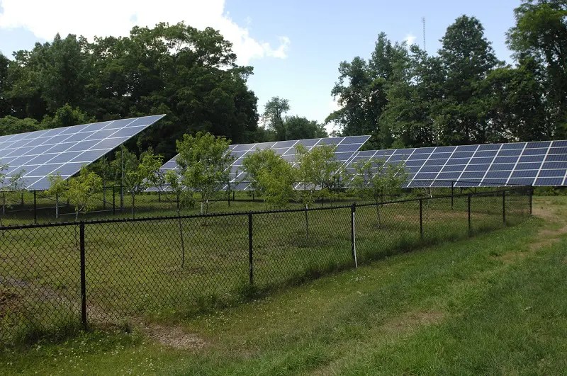 Windsor Sanitation Goes Green! Windsor Sanitation