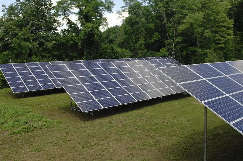 Windsor Sanitation Goes Green! Windsor Sanitation