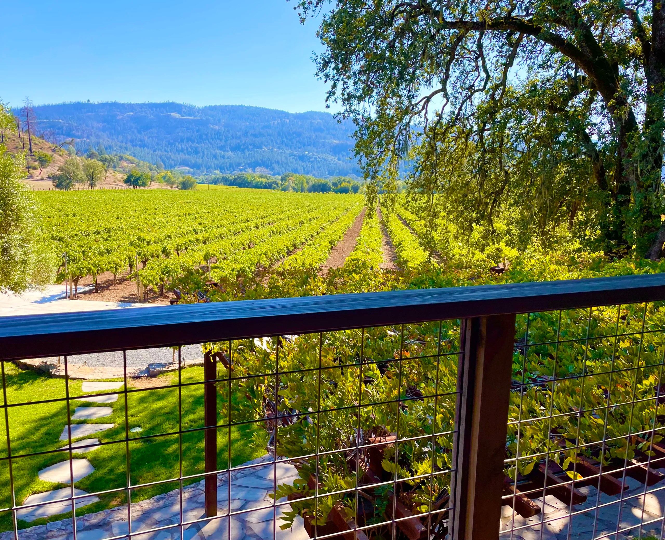 7 Things to Do in Calistoga in Napa Valley Windsor Wine Tours