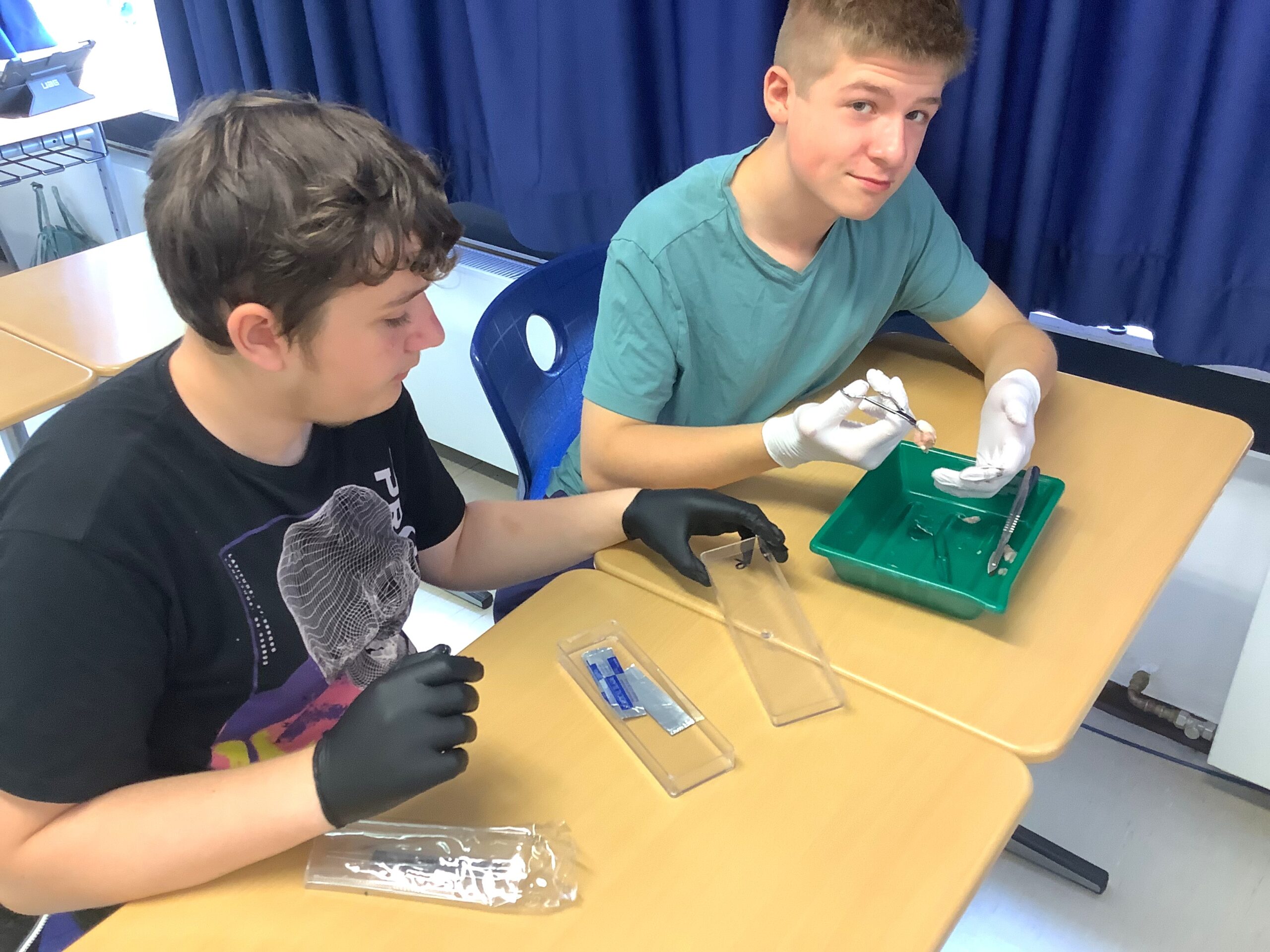 Biologieunterricht in Zeiten digitaler Medien Ludwig Windthorst Schule