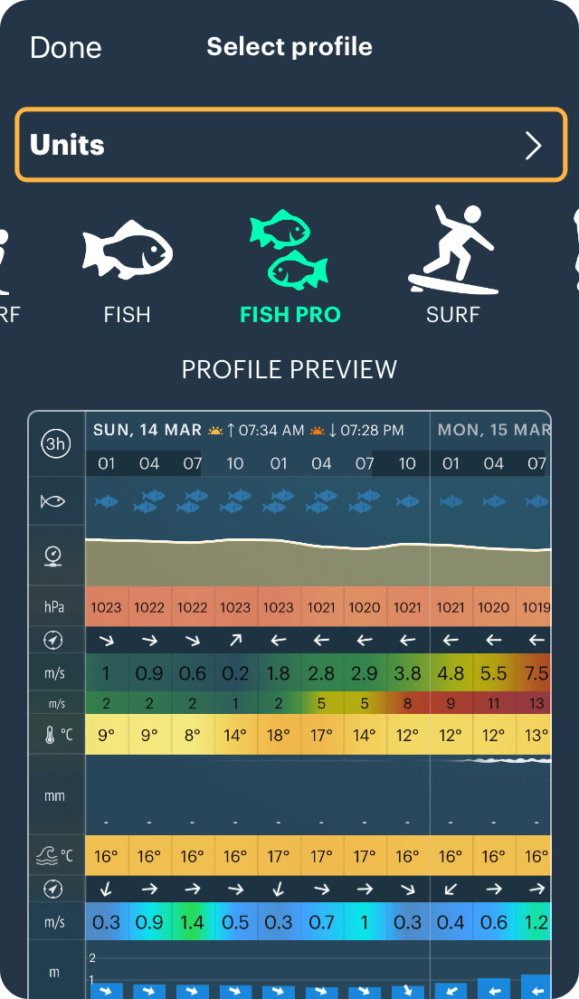 Tip 3 Select the measurement units in the Windy.app Windy.app