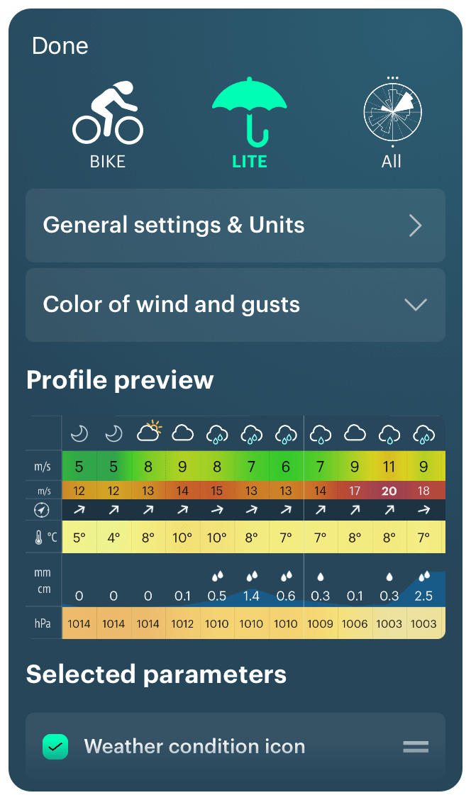 The new Customization feature screen in the iOS version Windy.app