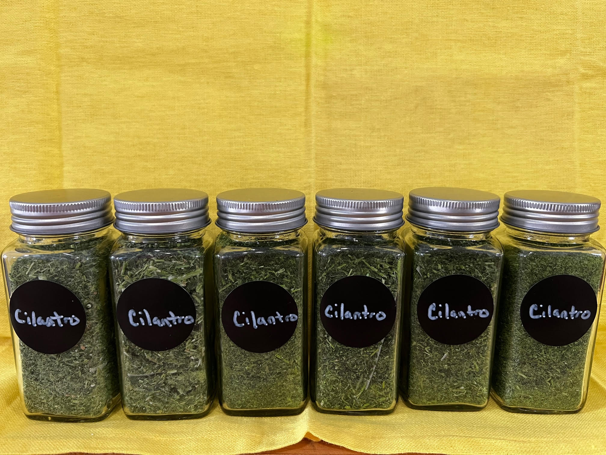 Freeze Dried Cilantro Windy Acres Tree Farm and Nature Preserve. LLC