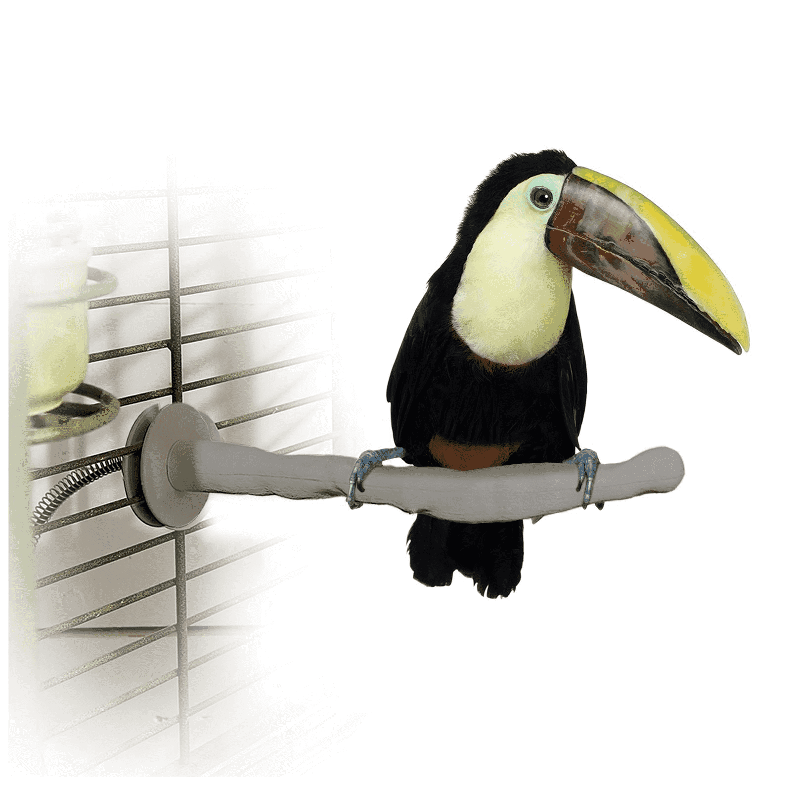 Bird Warming Heated Thermo Perch for Large Parrots Windy City Parrot