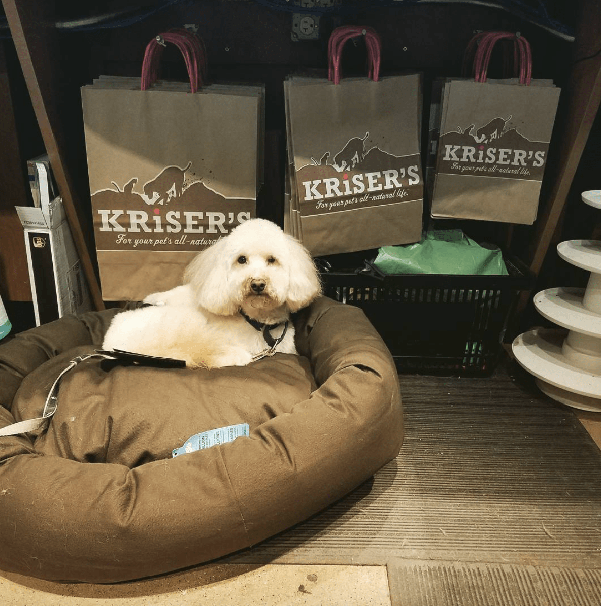 Join us for Yappy Hours at Kriser's Natural Pet — Streeterville Windy