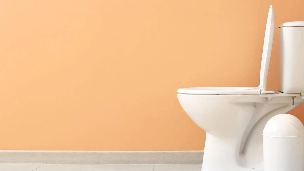 Why Is My Toilet Not Flushing? Windy City Rooter