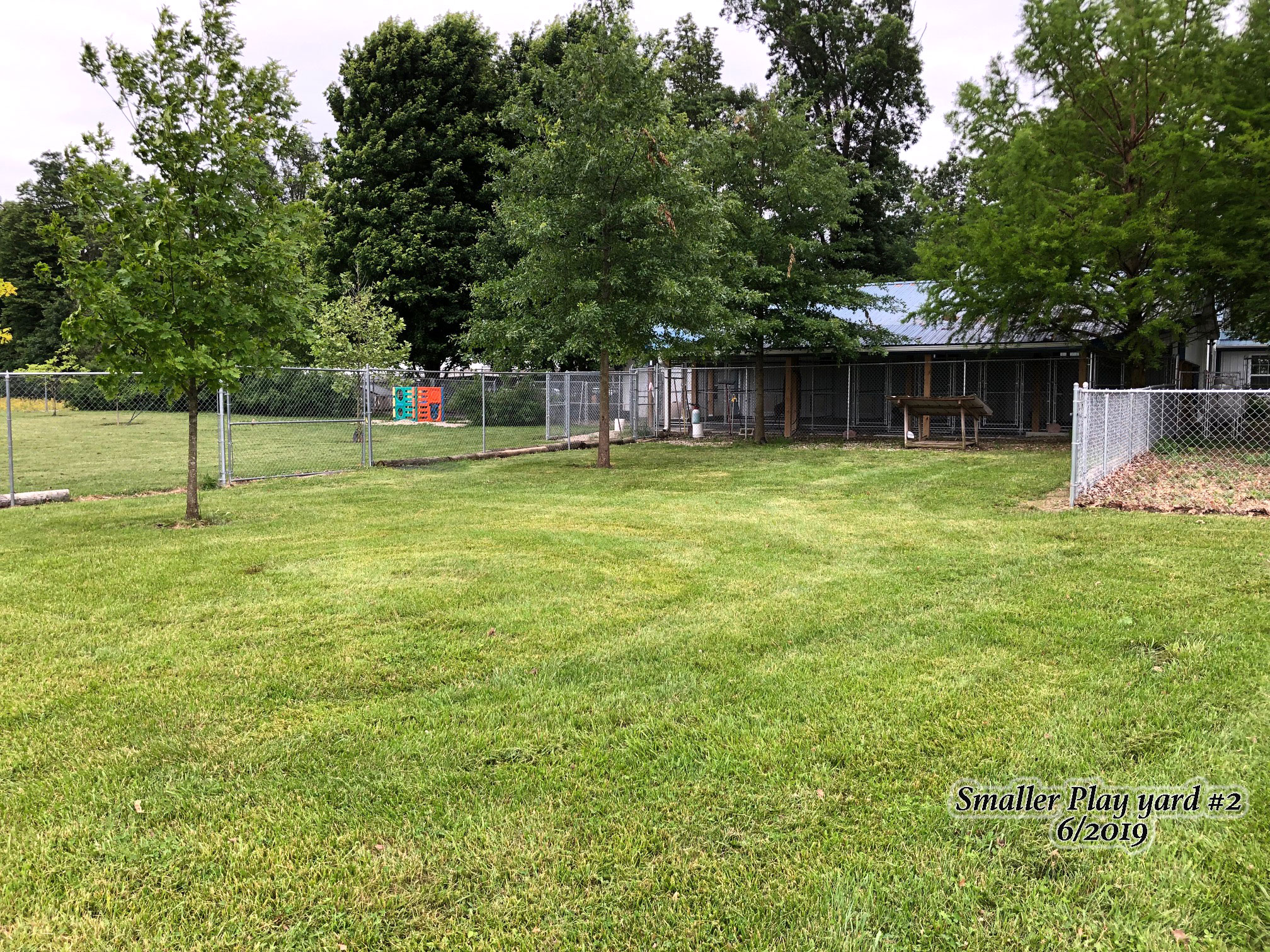 IMG_6746 Windy Hill Kennel