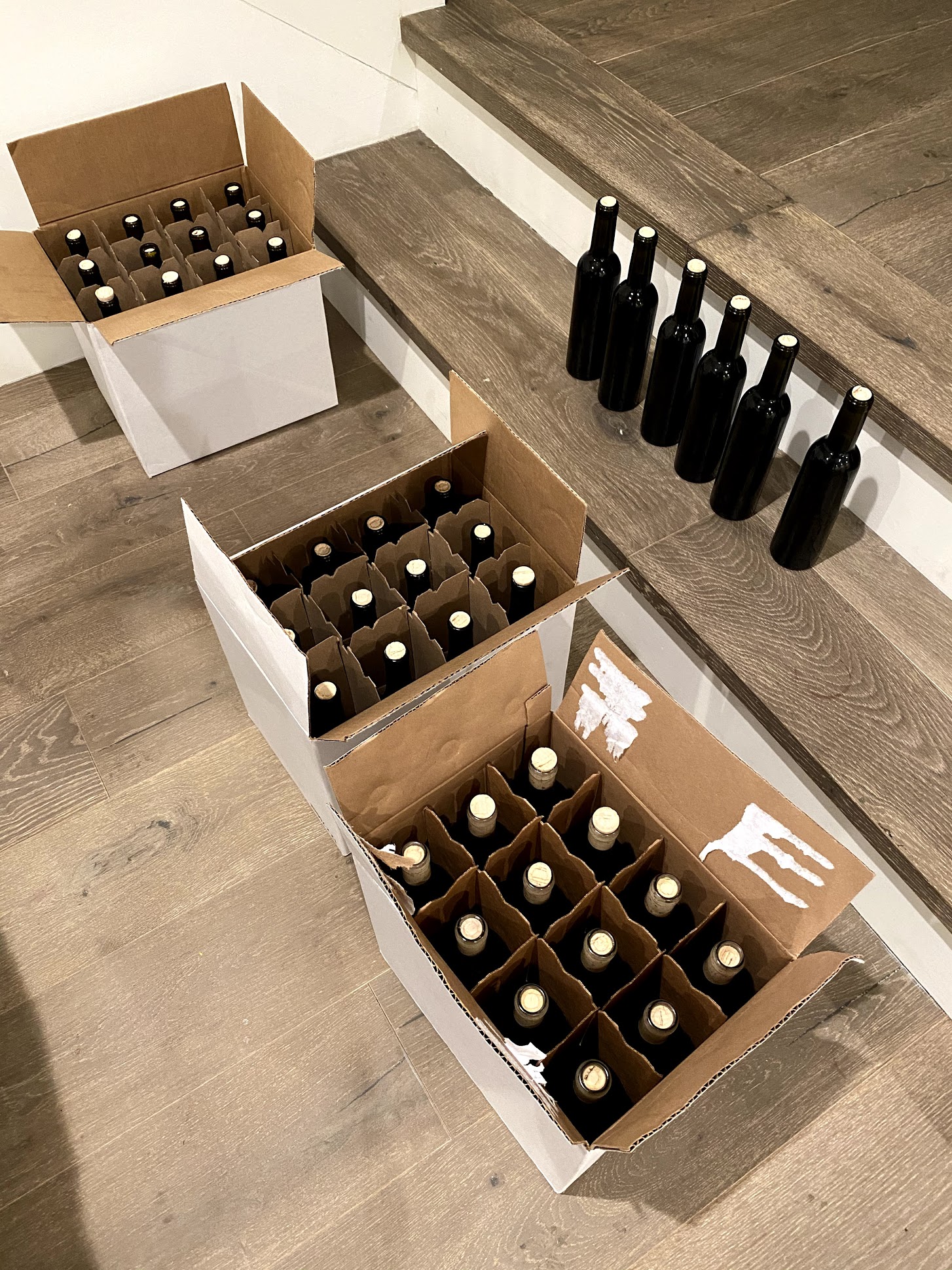 Adventures in wine making at home. // dps