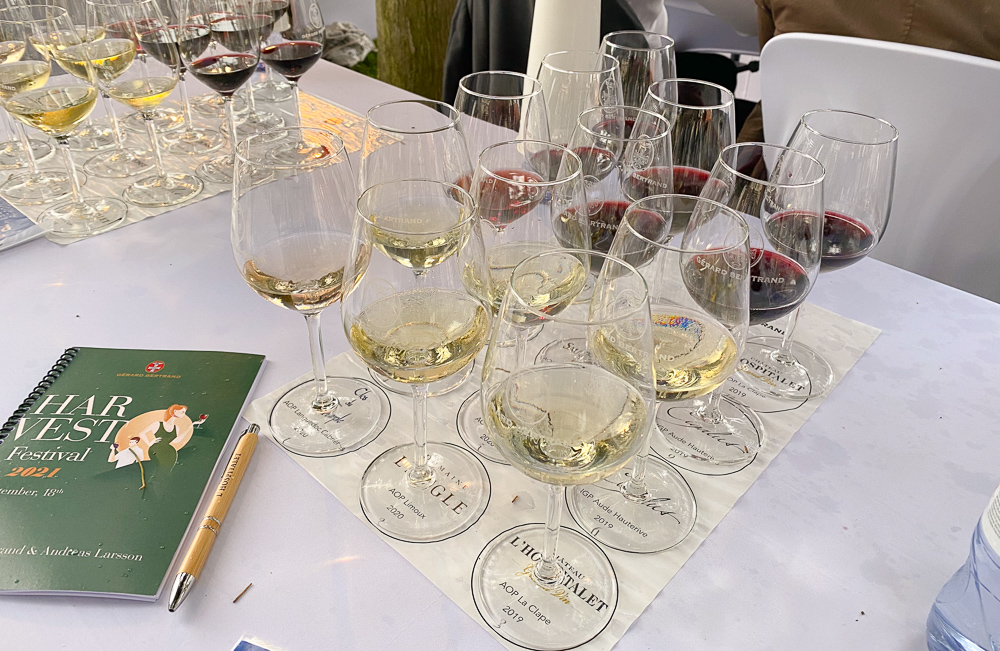 Tasting the top Gérard Bertrand wines at the harvest festival