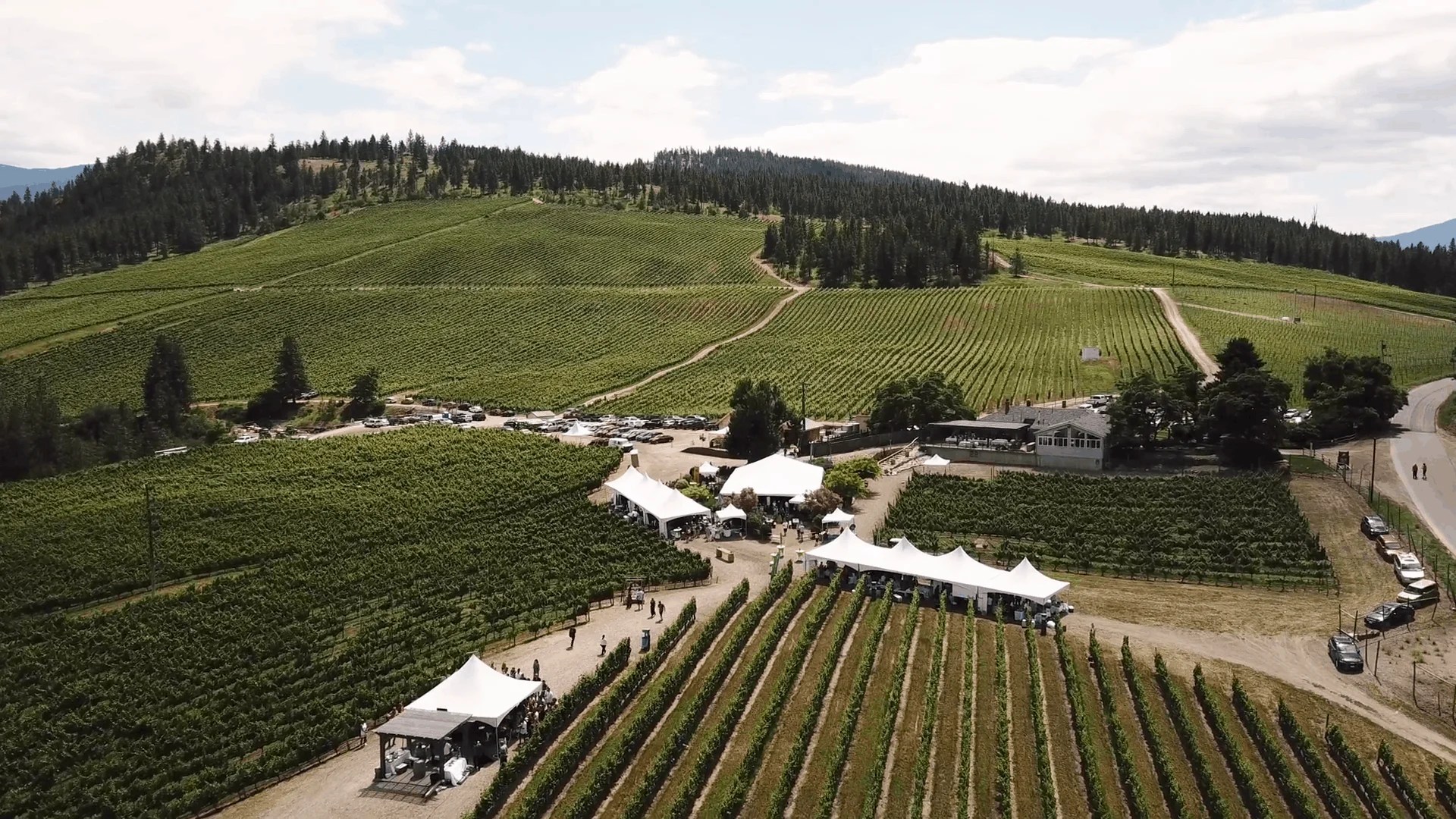 Summer fun in wine country. Sip and savour the best of BC food and