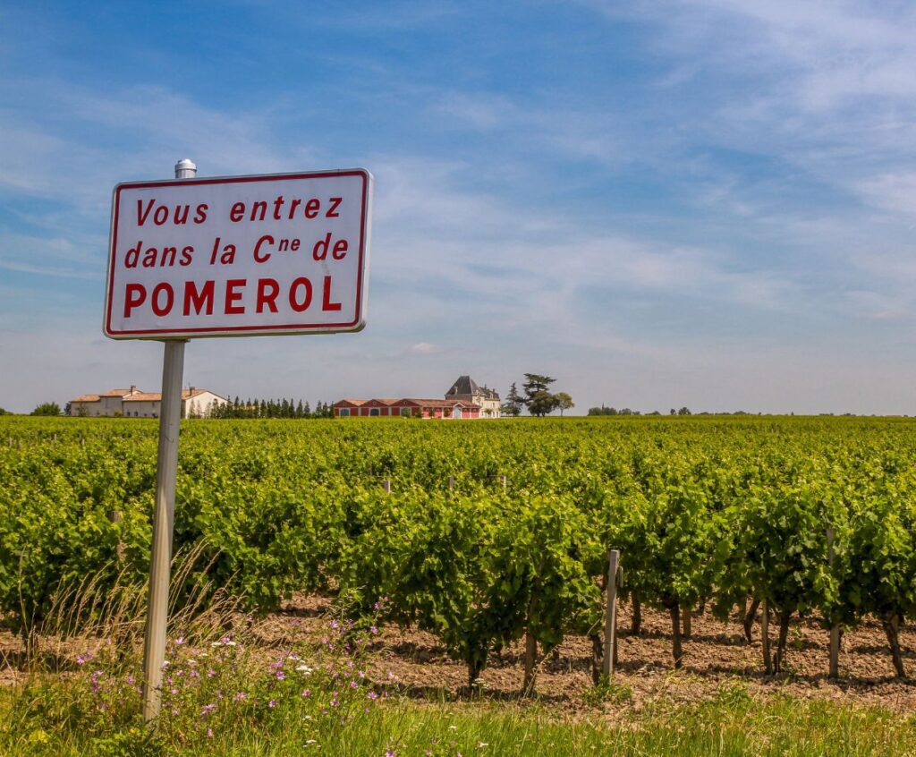 Exploring the Origins of Merlot Wine Where Does It Come From?