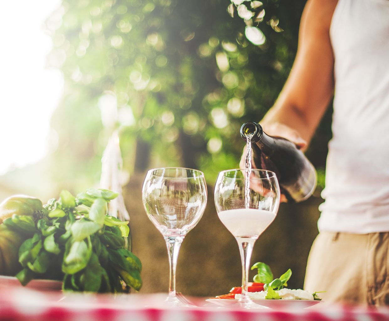 Discovering the Best VeganFriendly Prosecco Brands