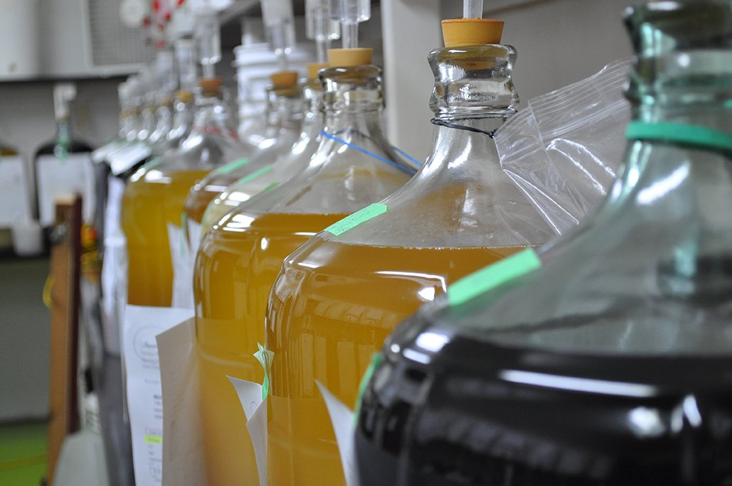 The Wine Making Process The Wine Cellar Describes How to Make Wine