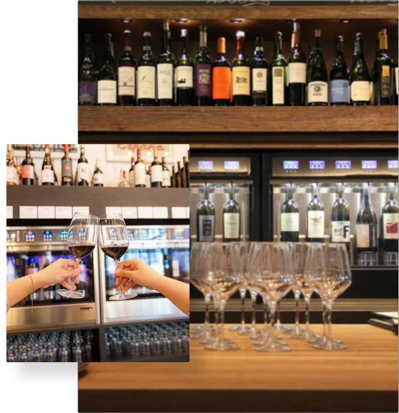 Wine Preservation System Best Wine Preservers For Commercial Use