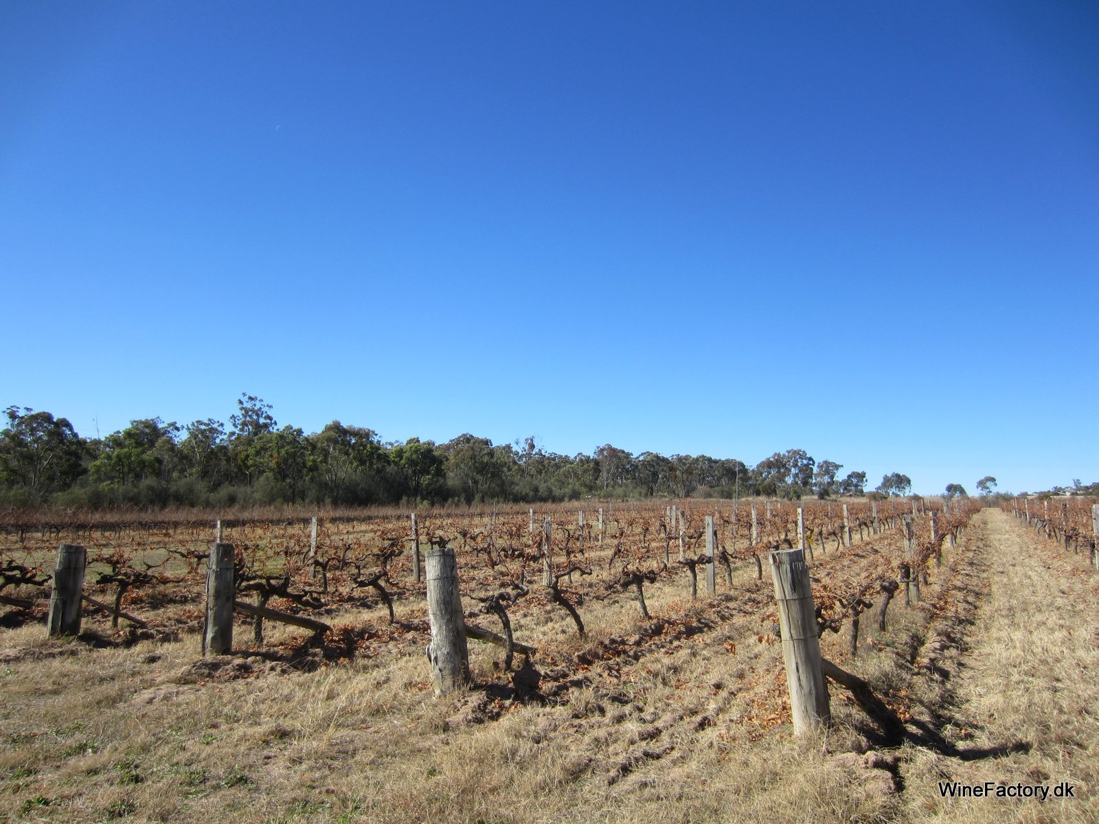 Granite Belt wine factory