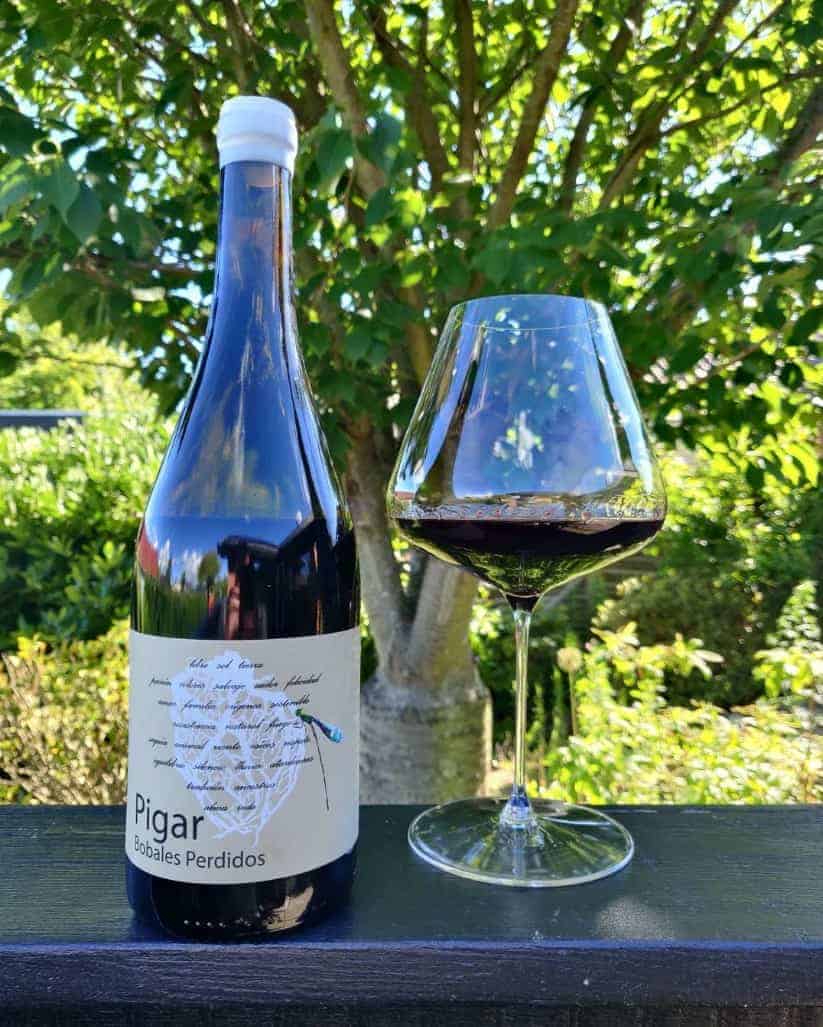 12 Popular Spanish Red Wines to Sip and Taste