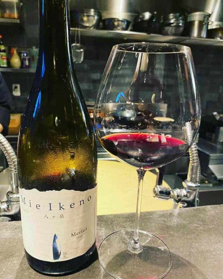 15 Best Wines Go With Lasagna