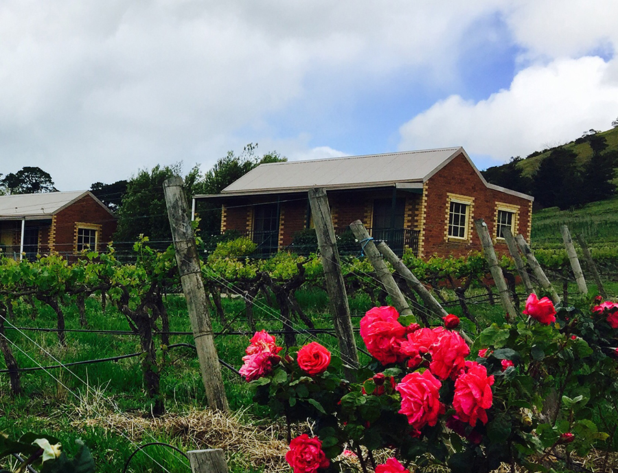 Wineries List Wine Geelong