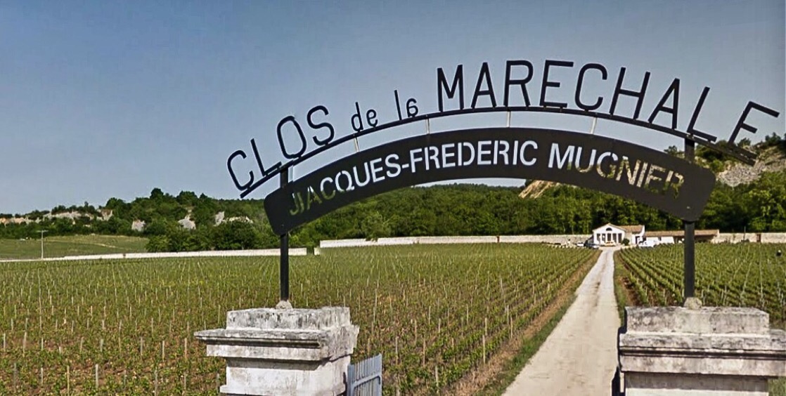 Clos de la Maréchale The largest monopole in Burgundy