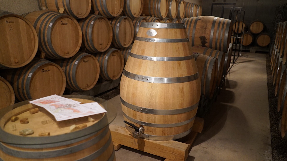 One wine in many versions new barrels and amphorae