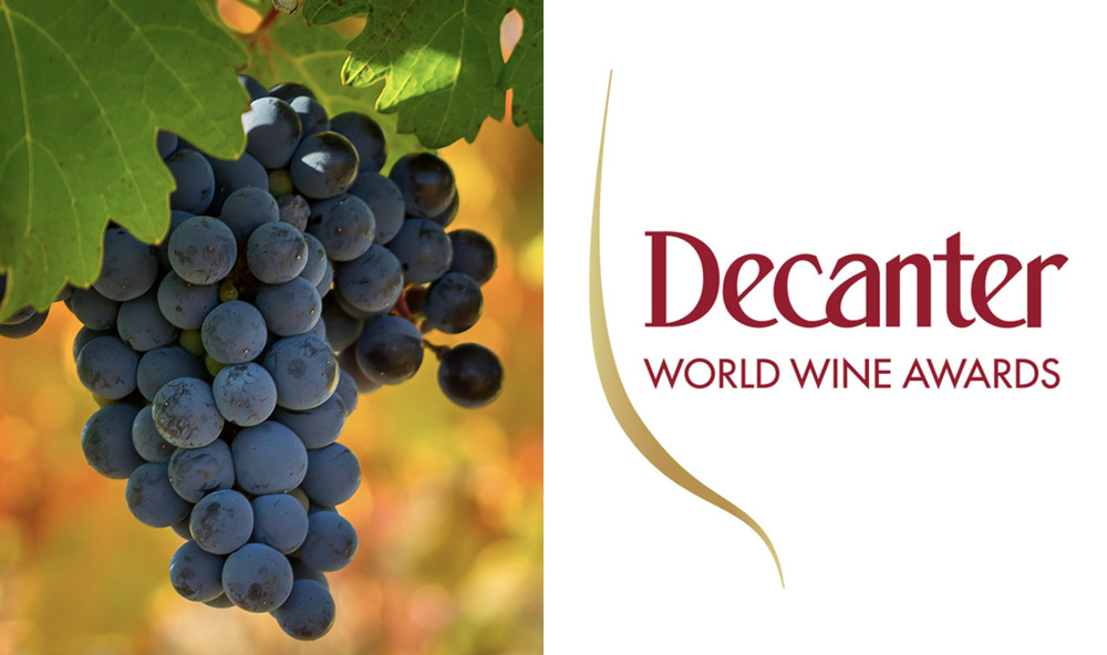 Top 10 Best Rated Wines at The Best Price by the Decanter World Wine