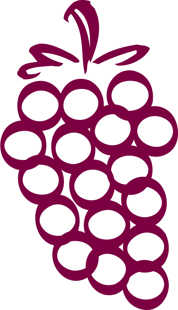 Wine Making Experts in Calgary Wine Kitz Calgary