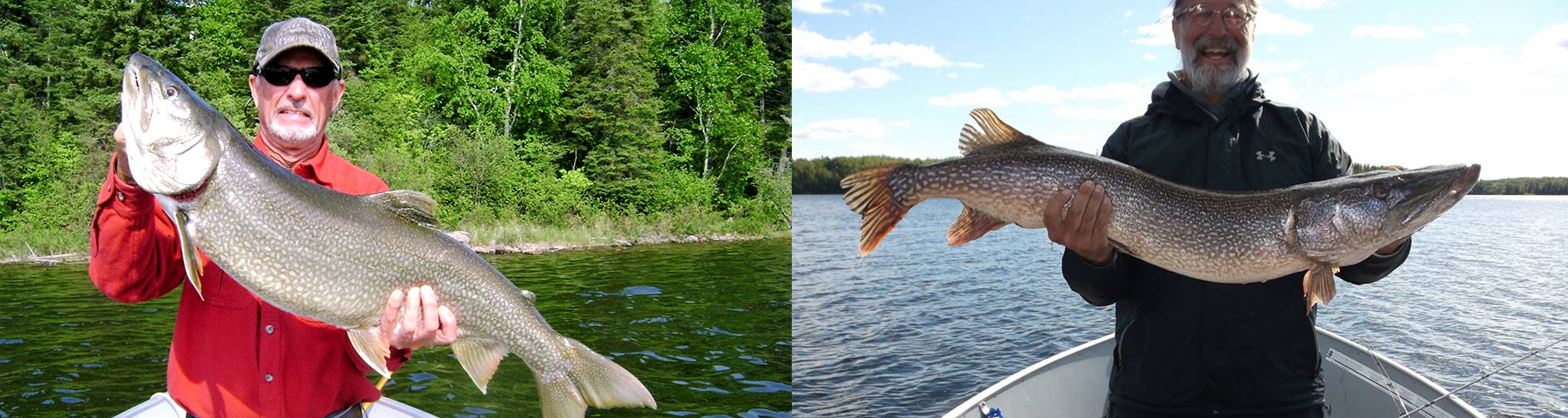 Wine Lake Camp Live Life On The Edge