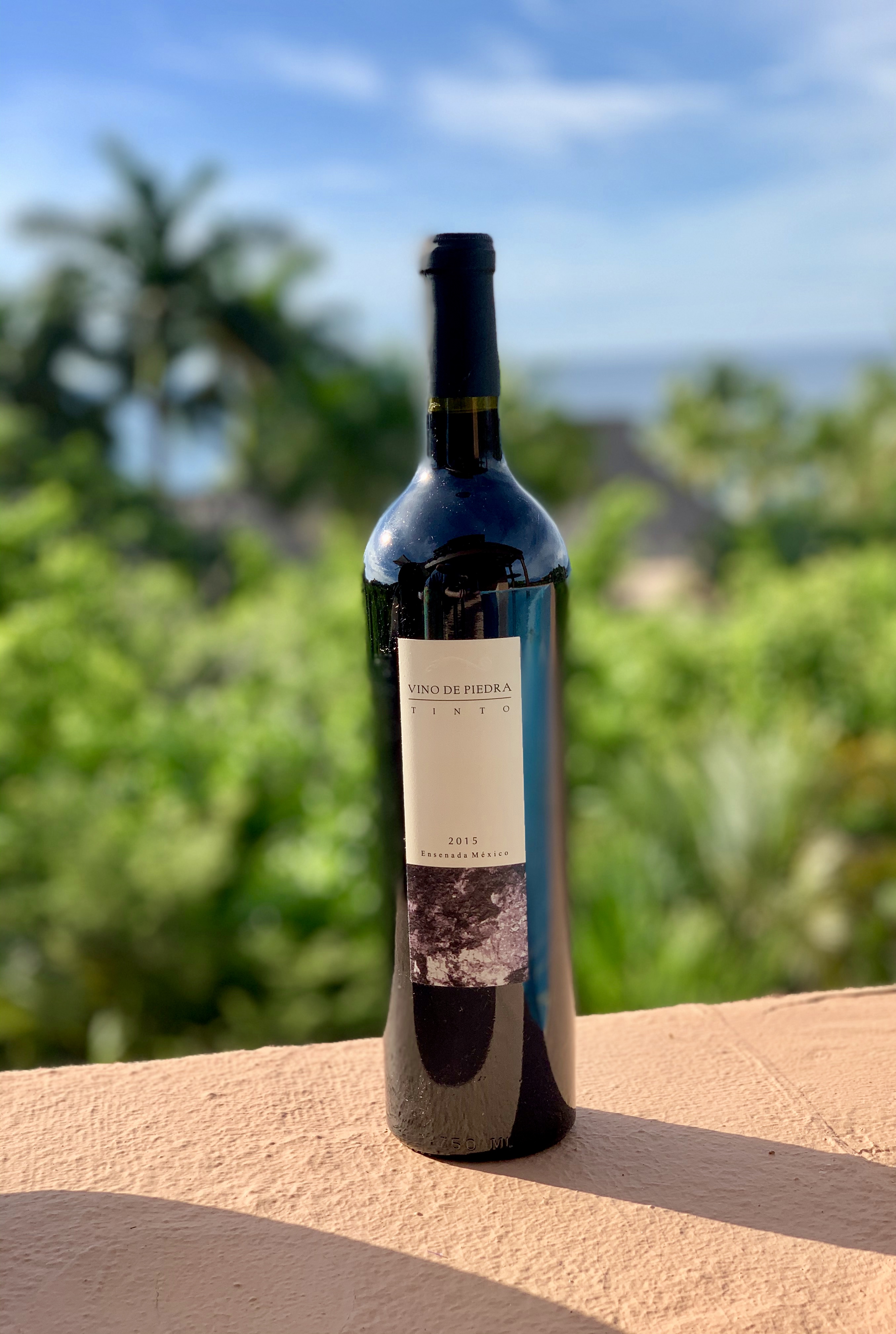 A glimpse into Mexican Wine A Wine Life