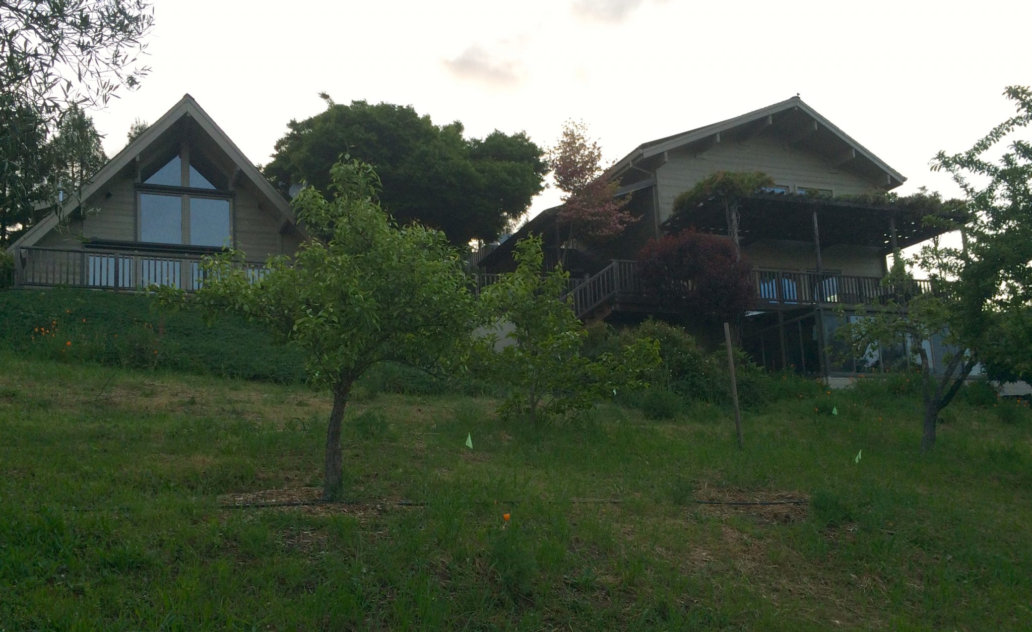 Winery Spotlight Lynmar Estate in Sonoma, California Winerabble