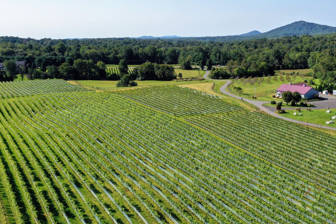 Virginia Winery and Vineyard 🍇 Wineries & Vineyards for Sale