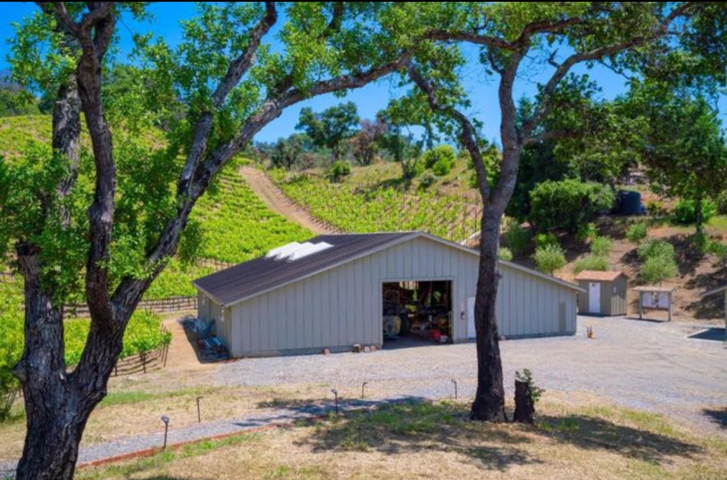 Santa Rosa Vineyard 🍇 Wineries & Vineyards for Sale