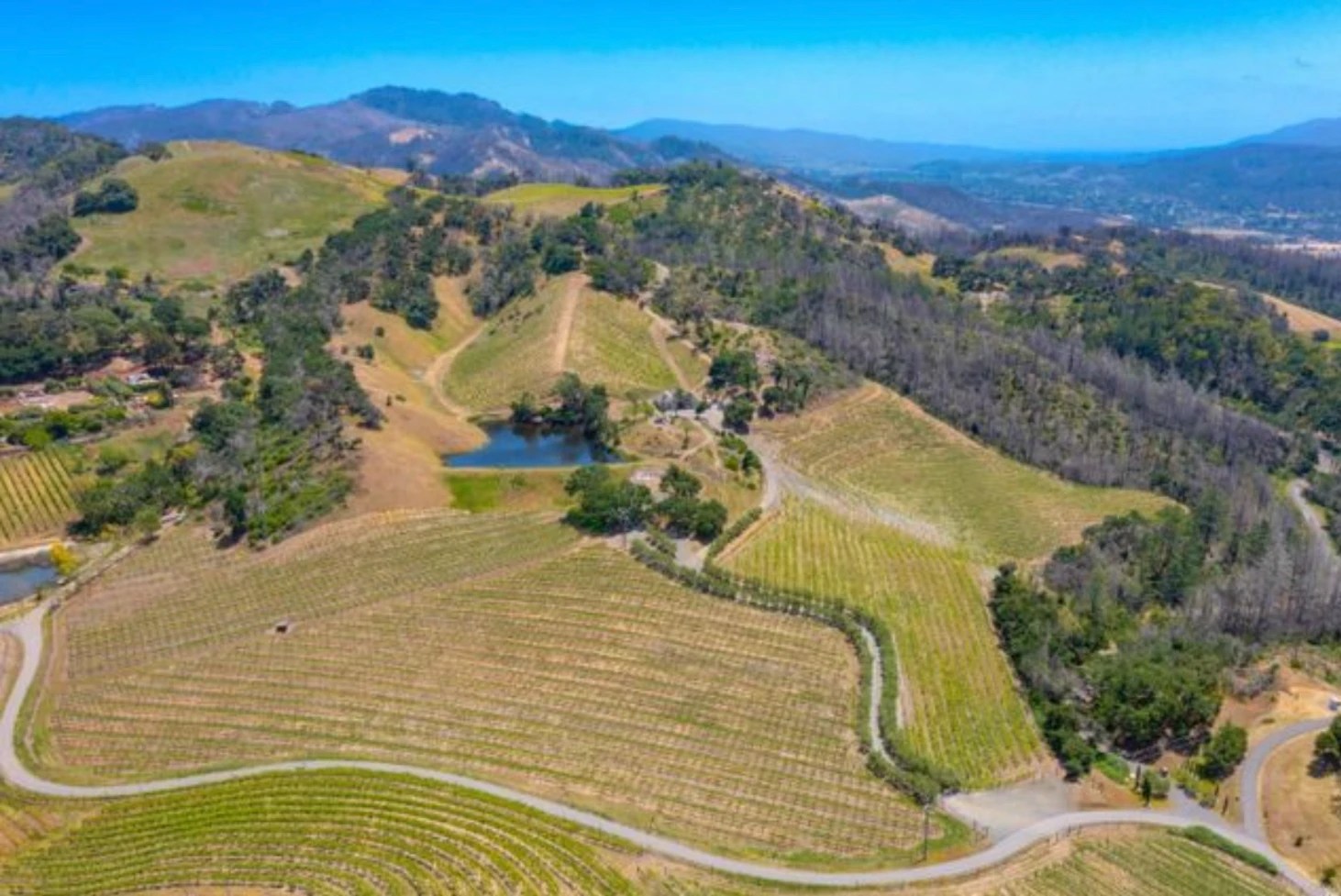 Santa Rosa Vineyard 🍇 Wineries & Vineyards for Sale