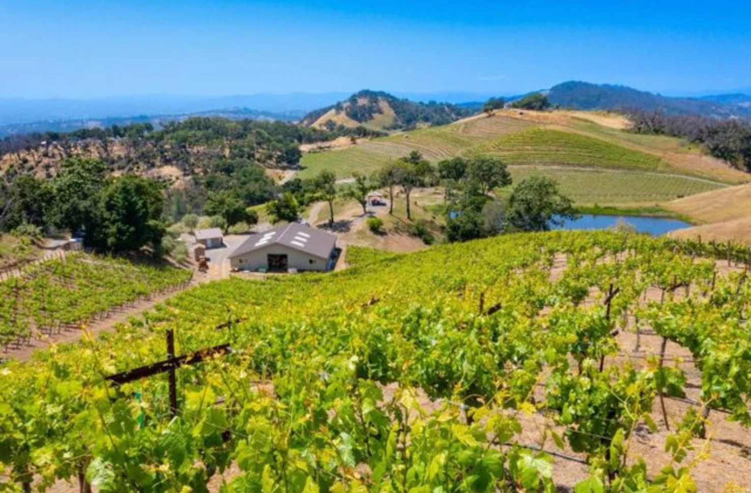 Santa Rosa Vineyard 🍇 Wineries & Vineyards for Sale