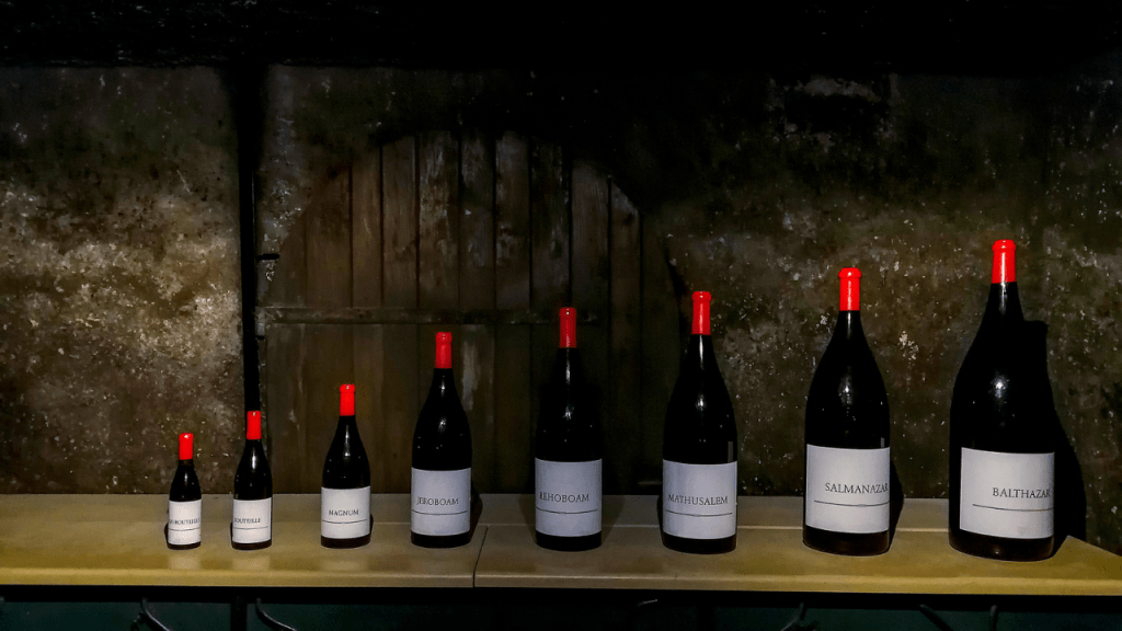 How Tall is a Wine Bottle and Why the Width Matters