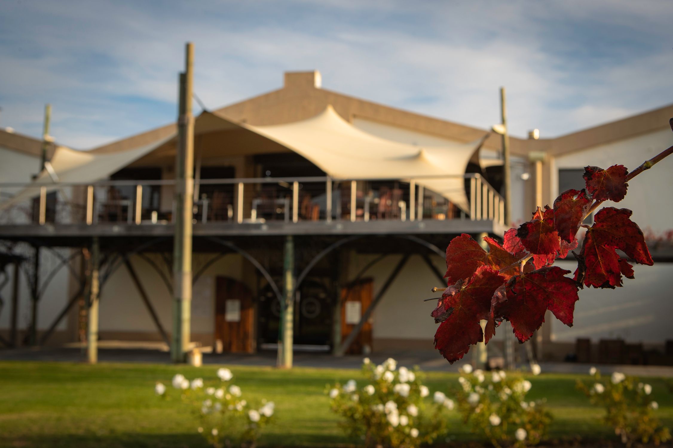 Slaley Cellars Stellenbosch Wine Routes