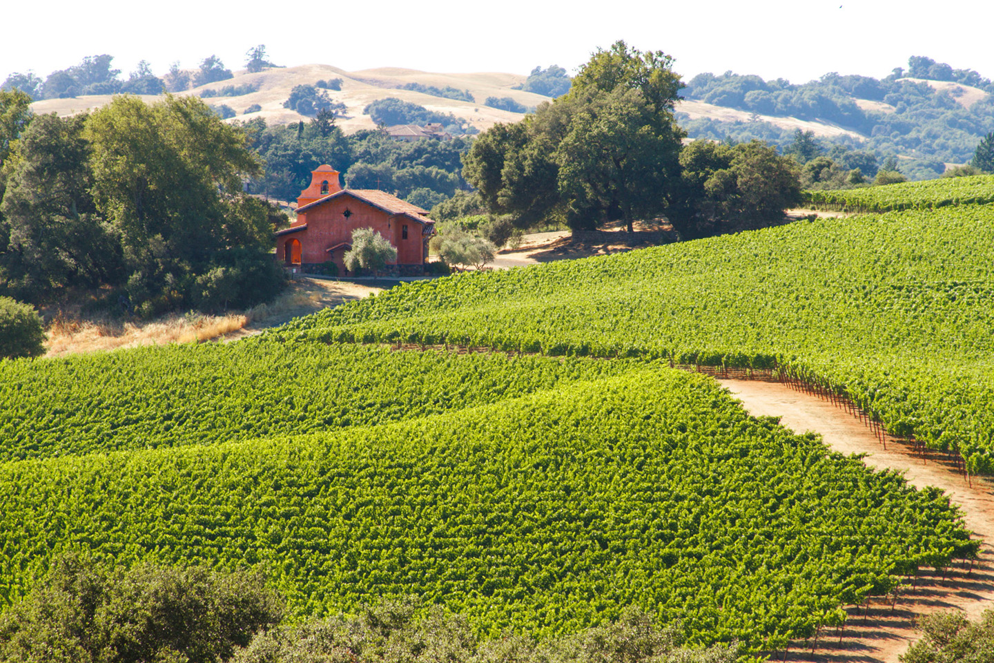 Chalk Hill Estate Vineyards & Winery Winery Explorers