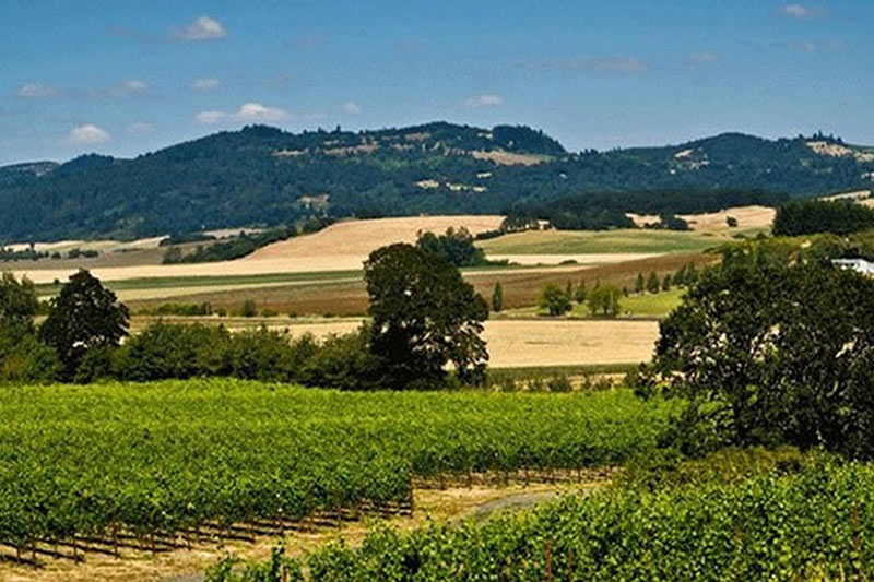 Biodynamic Oregon Wineries WineryHunt Oregon