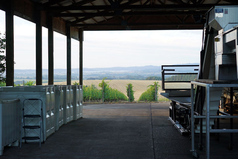 Best McMinnville Foothills Wineries WineryHunt Oregon