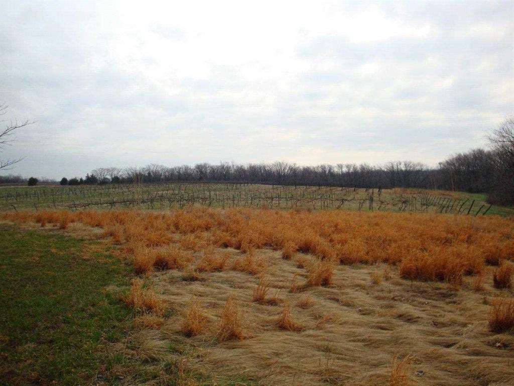 Winery for sale in Oskaloosa, Kansas Winery Sale