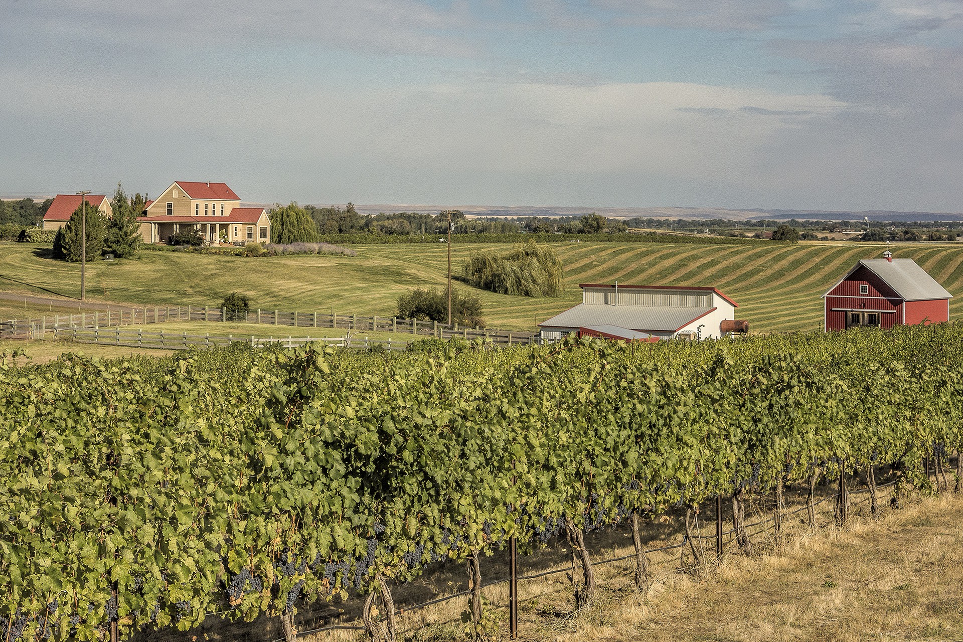 Birch Creek Vineyard Walla Walla AVA Winery Sale