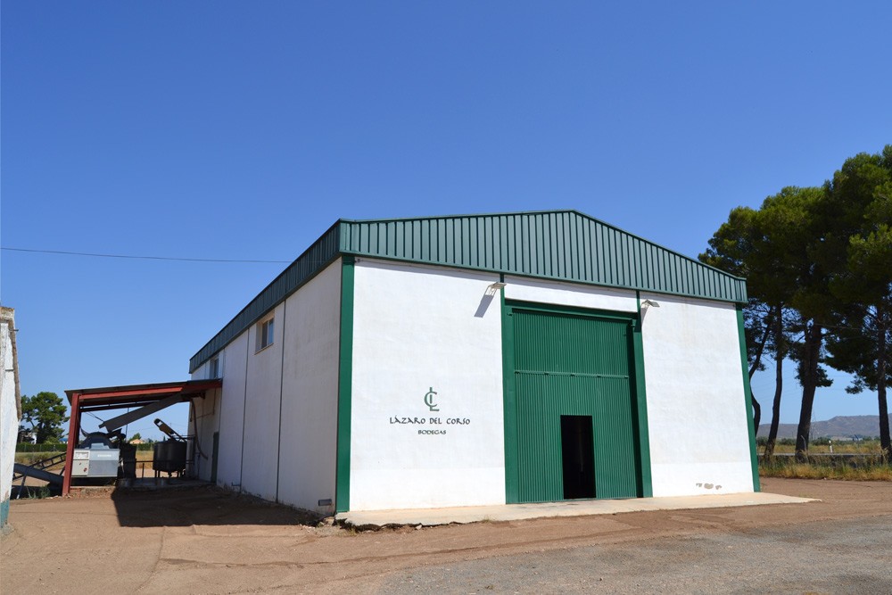 Winery, House and Lands for Sale in Spain Winery Sale