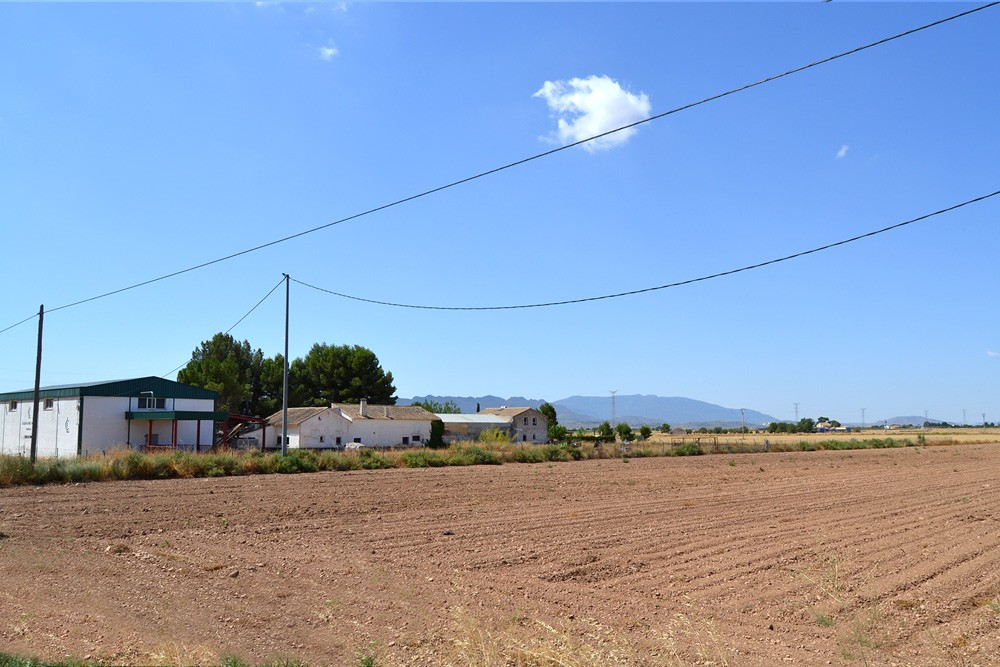 Winery, House and Lands for Sale in Spain Winery Sale