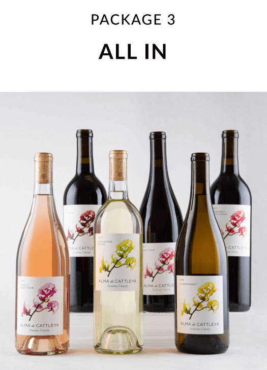 All In Package Wines by Bibiana