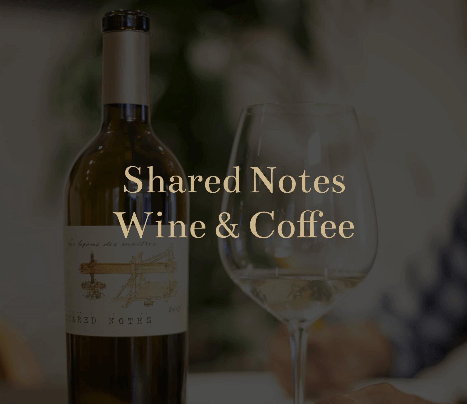 Home Wines by Bibiana