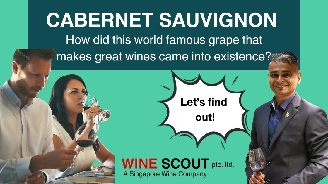 ABOUT SAUVIGNON WINE SCOUT pte. ltd.
