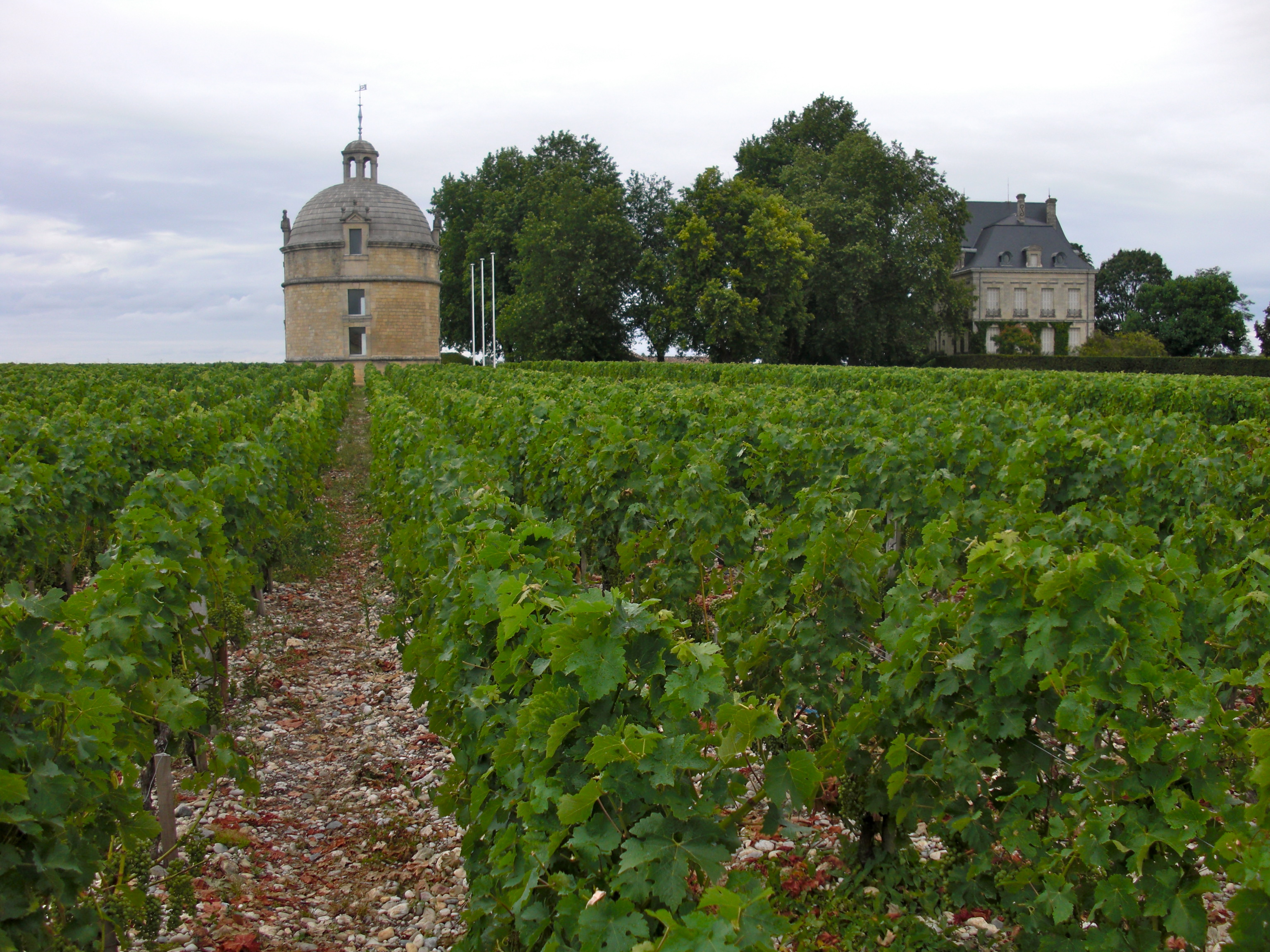 From Chateau Latour 2009 to some of the world's best wine regions A