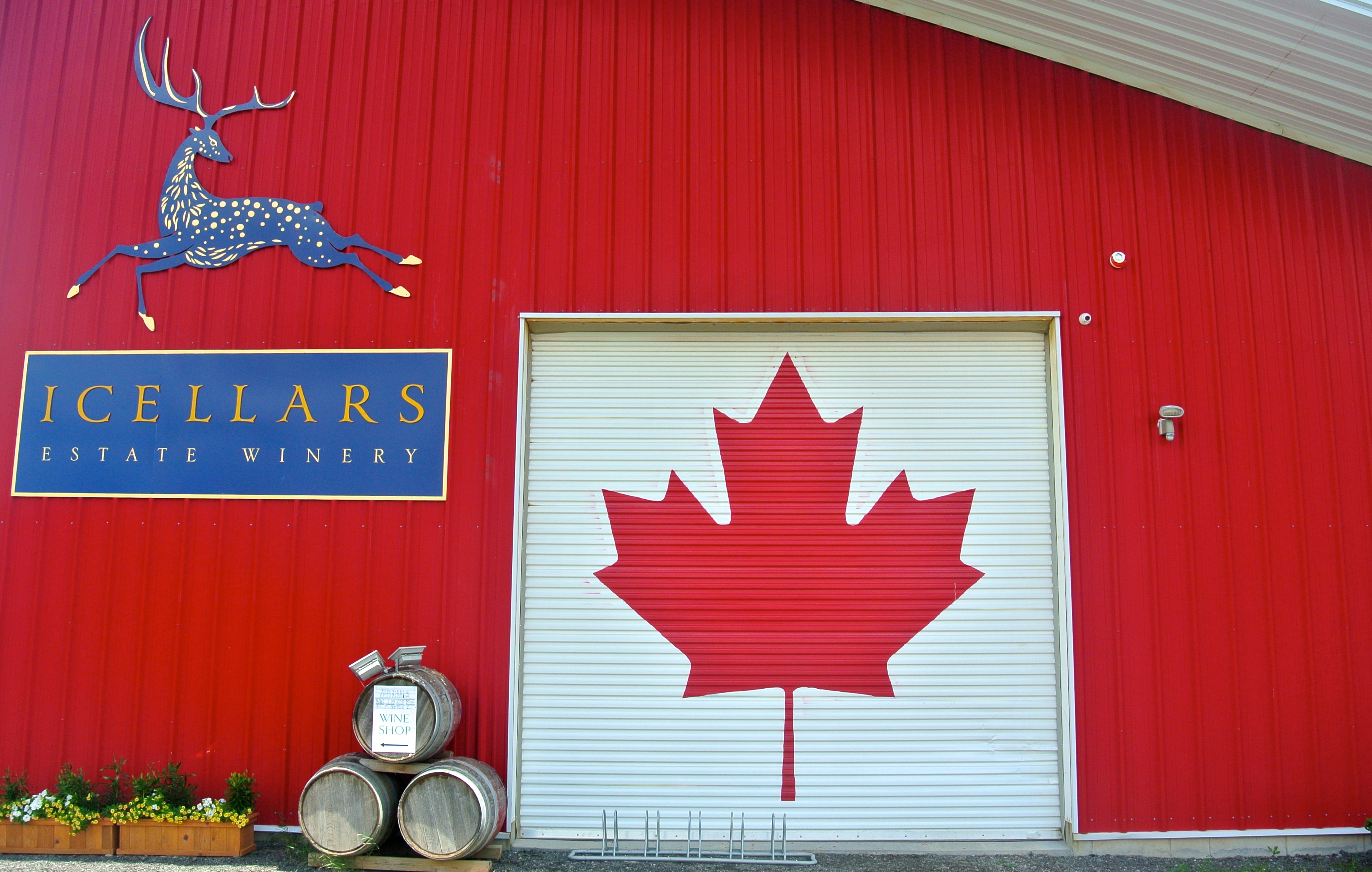 150 wine photos to celebrate Canadian wine on our birthday