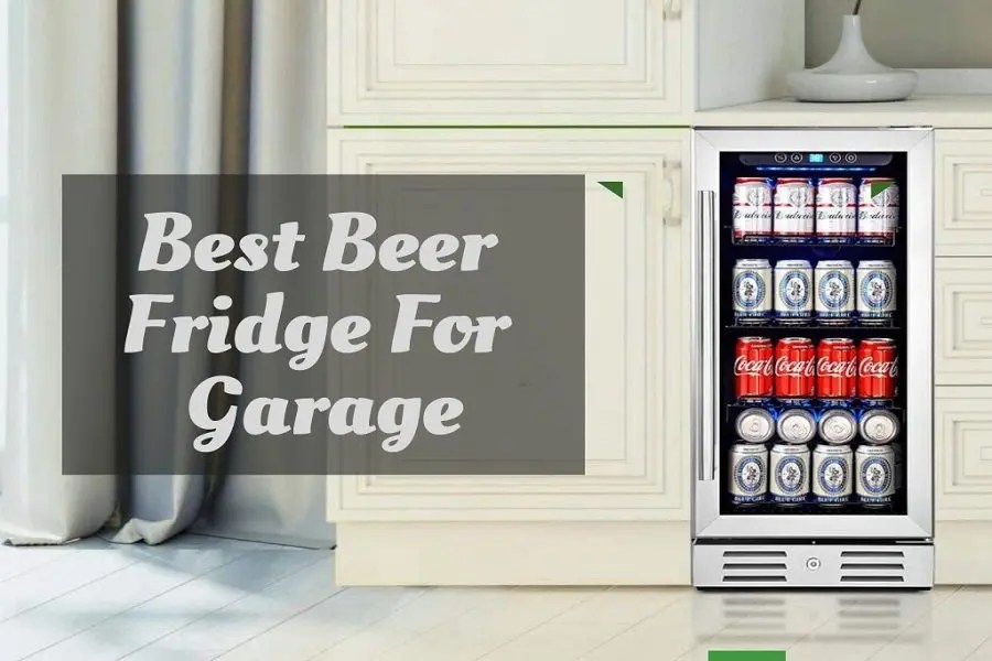 Best Beer Fridge for Garage Review 2024 Top 8 Model to Buy