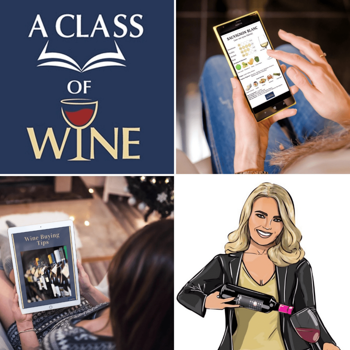 'Back to Basics' Wine Appreciation Course Gift Wine Tasting Ireland