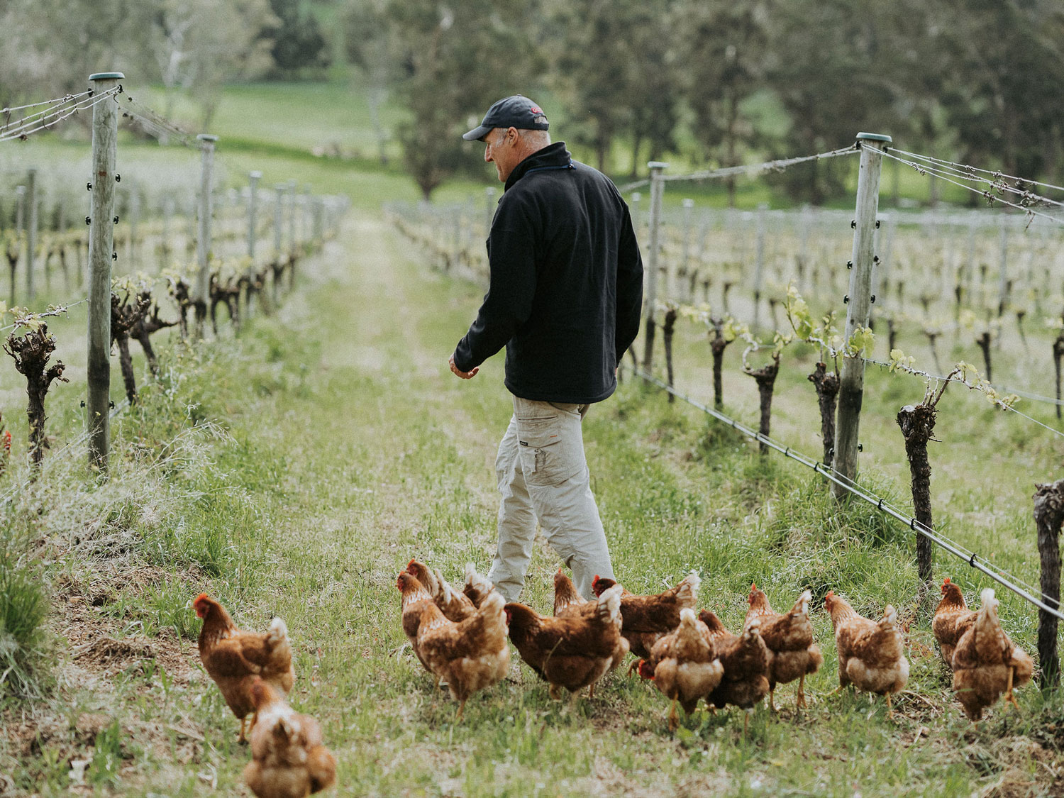 The 2021 Vineyard of the Year Awards Top 50 announced